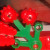 Lego Insects. Two ladybugs and one butterfly Lego Insects. Two ladybugs and one butterfly