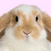 hthomson profile image