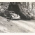 Wawona Tree, family car in 1940.