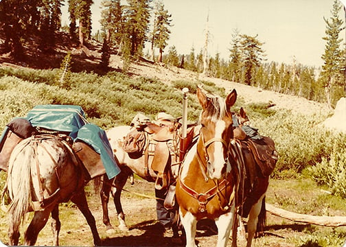 Packing the horses for one of Dad's camping trips.