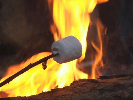 Roasting marshmallows over an open campfire.