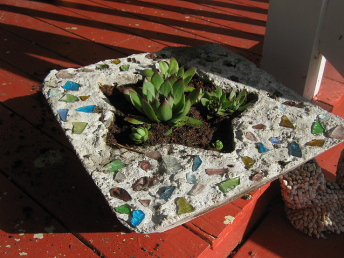 Concrete & Cement DIY Projects | Garden Crafts, Sculptures & Fun Makes