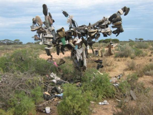 The bush is in the middle of nothing along the Nullarbor Plain, and gradually, people passing by thought it would be fun to leave something.  It probably started as trash, but once it caught on, has become a fun thing to do... in an otherwise long an