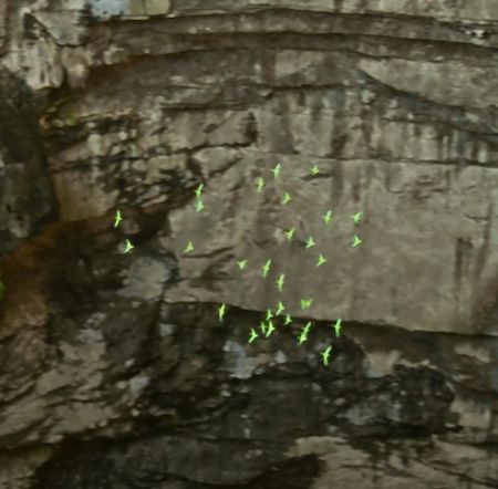 Cave of Swallows, Mexico - Where Sanctum was actually shot