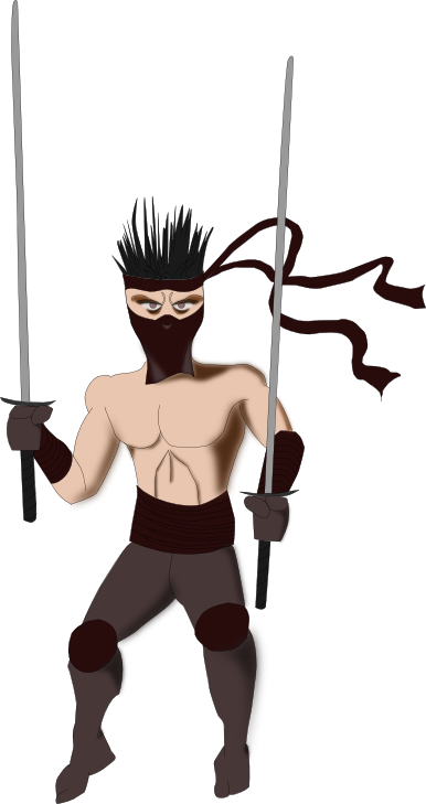 Ninja 3