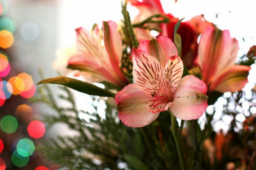 Scattering floral displays and bouquets around your home looks pretty and should therefore improve your mood.