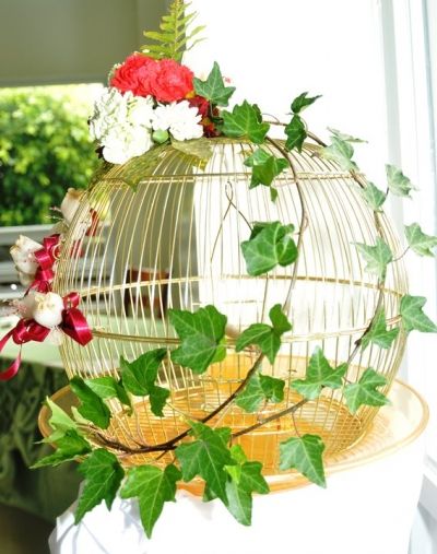 Dove cage idea