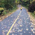 Gatineau Park in fall - the bike path Gatineau Park in fall - the bike path