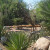 Big Bug / damselfly sculpture at the Desert Botanical Garden, Phoenix, Arizona, amid the desert landscape. Big Bug / damselfly sculpture at the Desert Botanical Garden, Phoenix, Arizona, amid the desert landscape.