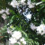 White Oleander. White Oleander.