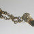 Decorative round ends clip to a sweater. Decorative round ends clip to a sweater.
