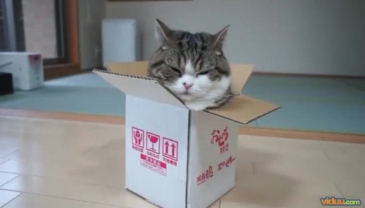 Think out of the box...