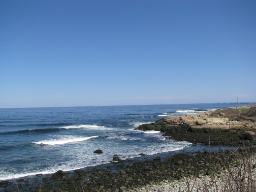 Whale Cove looking southeast