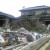 Once a beautiful Japanese garden I'm sure. Once a beautiful Japanese garden I'm sure.