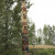 As we walked around the lake, the Tlingit clan house was the first we encountered. We were greeted by this totem pole with both a raven and an eagle. As we walked around the lake, the Tlingit clan house was the first we encountered. We were greeted by this totem pole with both a raven and an eagle.