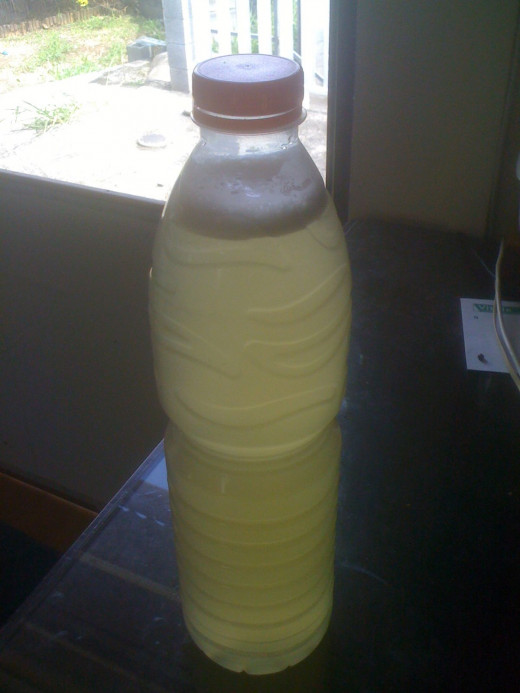 Close the lid tightly, and leave room for the bottle to expand a bit. It'll get bubbly.