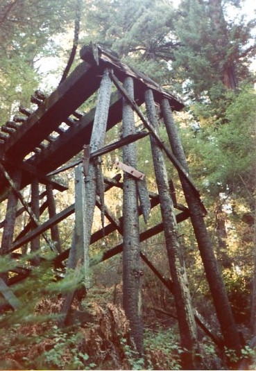 An abandoned train trestle still stands amongst the trees.
