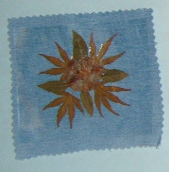 Coaster made with small leaves arranged in a circular pattern