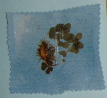 Coaster with flowers