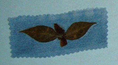 Bookmark with double leaf design