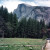 Half Dome shows it's beauty amonst the green foliage.
