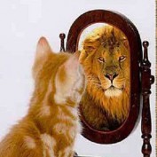 bigcat profile image