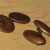 Simple brass double-ovals Simple brass double-ovals