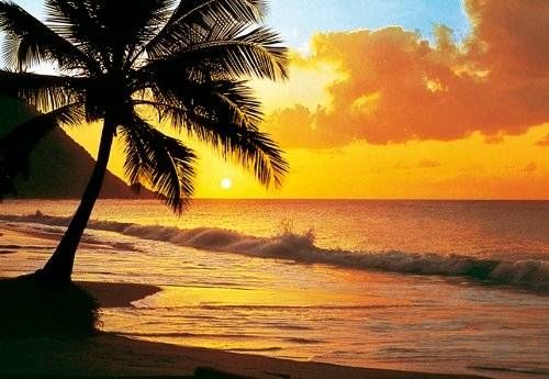 Pacific Sunset Beach Wall Mural