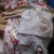 Top and trousers (3-6 months) at 1.95, stripey sleep suit (up to 1 month) at 50p, sleep suit (up to 1 month) at 50p, sleep suit (9-12 months) at 75p all from charity shops. Top and trousers (3-6 months) at 1.95, stripey sleep suit (up to 1 month) at 50p, sleep suit (up to 1 month) at 50p, sleep suit (9-12 months) at 75p all from charity shops.
