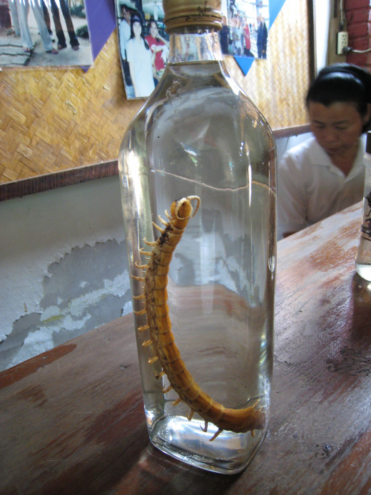 Tequila worm by Monkey Boson