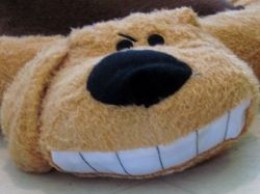 cute dog bed