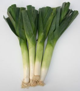 summer cooking vichyssoise
