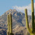 Catalina Mountains with saguaros, seen from Sabino Canyon.