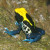 Brazilian Yellow Head. All frogs are Poison Dart Frogs, Dendrobates tinctorius.