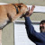Cisco and Dad (Todd) doing a High Five Photo shoot for me... Cisco and Dad (Todd) doing a High Five Photo shoot for me...