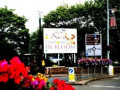 Things To Do In Cleethorpes