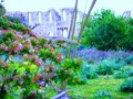 Learn to Play The Holly and the Ivy