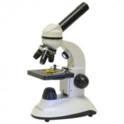 Microscopes for Science Enthusiasts