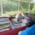 A bookish view into the garden