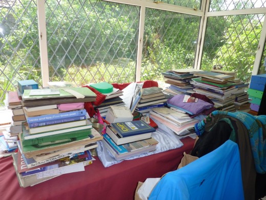 A bookish view into the garden