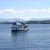 Protection Island Ferry shuttles passengers from downtown Nanaimo to Protection Island Protection Island Ferry shuttles passengers from downtown Nanaimo to Protection Island