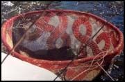 Knitted Lace Coracle (boat), photos only in Unexpected Knitting (no pattern)