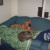 I had to make sure Rick still likes me, so I take a nap with him and Dixie sometimes. I had to make sure Rick still likes me, so I take a nap with him and Dixie sometimes.