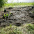 The seeds have been planted, as well as the plants. The seeds have been planted, as well as the plants.