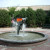 Dolphin Fountain at the entrance. Dolphin Fountain at the entrance.