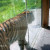 This is a tiger. This enclosure was incredible. Ever been this close to a tiger? This is a tiger. This enclosure was incredible. Ever been this close to a tiger?