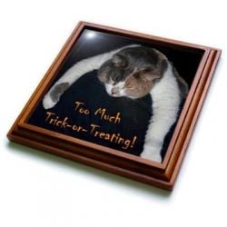 Too Much Trick-or-Treating Cat Trivet