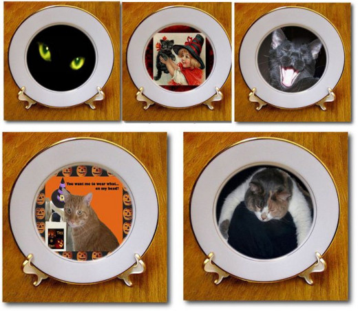 Cats looks so purrfect on plates