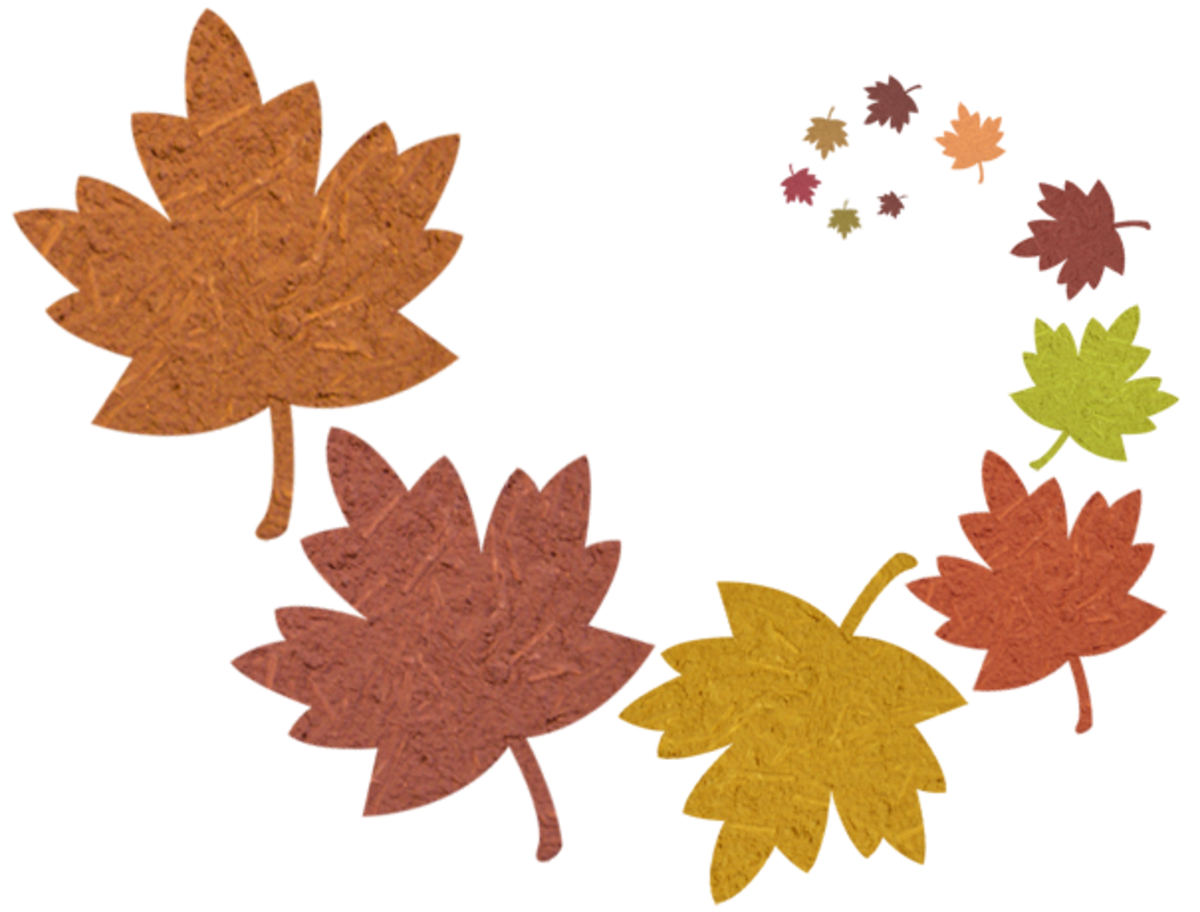 free clip art borders autumn leaves - photo #40