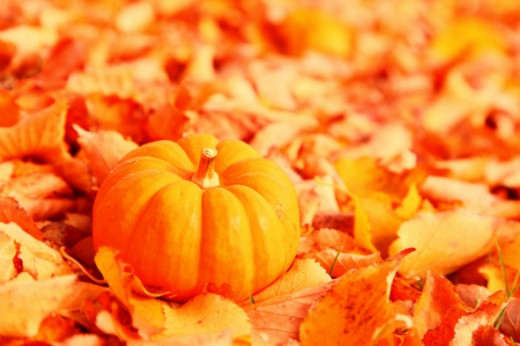 Little Pumpkin With Fallen Orange Autumn Leaves